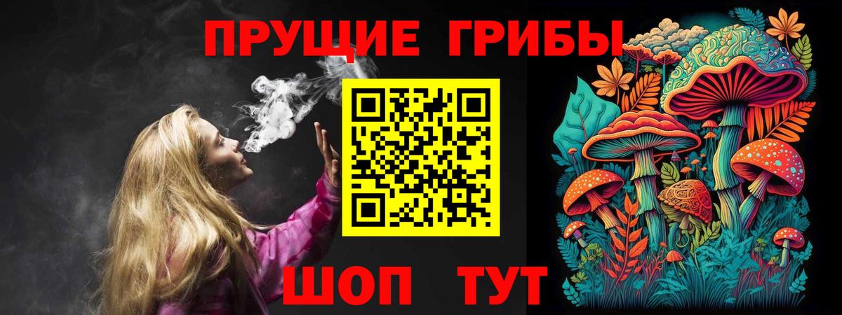 Псилоцибиновые грибы прущие грибы  где купить наркотик  Новочеркасск  Галлюциногенные грибы прущие грибы  Вход с VPN 